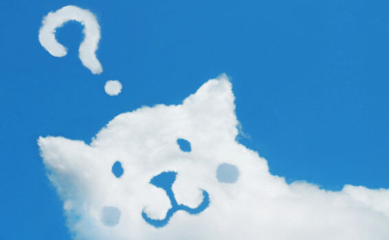 くまの形をした雲とはてなマーク