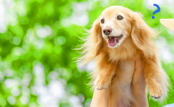 はてなイメージ