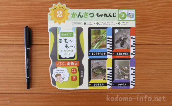 こどもちゃれんじのダイレクトメールに入っている体験教材