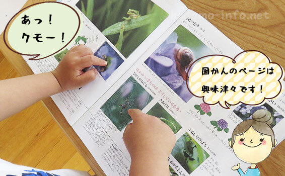 まなびwith・年少コースの体験教材