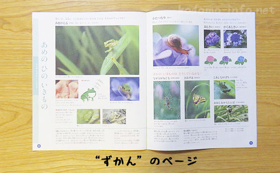 まなびwithの年少コースのお試し教材