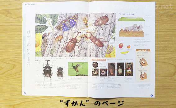 まなびwithの年長コースのお試し教材