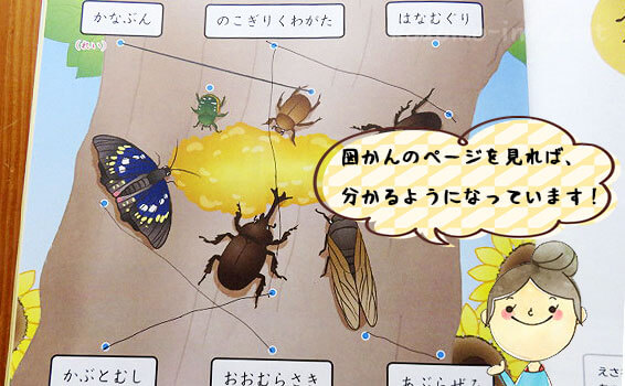 まなびwithの年長コースのお試し教材