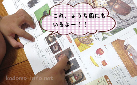 まなびwithの年長コースのお試し教材