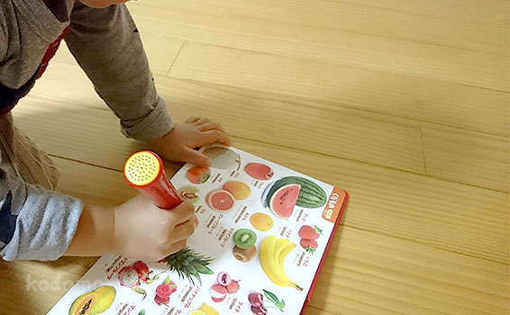 にほんごえいごはじめてのずかん