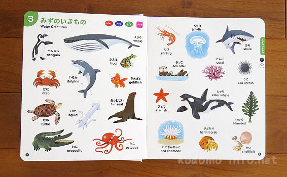 「にほんごえいごおしゃべりことばのずかん」