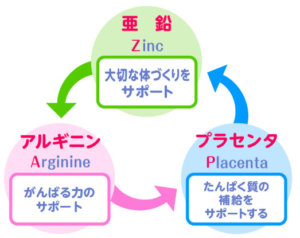 アスミールの栄養成分