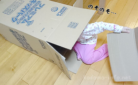 プレミアムキッズパークの箱