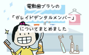 【コスパ最高】電動歯ブラシの定期便！ガレイドデンタルメンバーが超便利！
